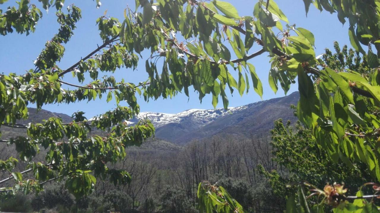 فندق Bohoyoفي  Los Chozos De Gredos المظهر الخارجي الصورة